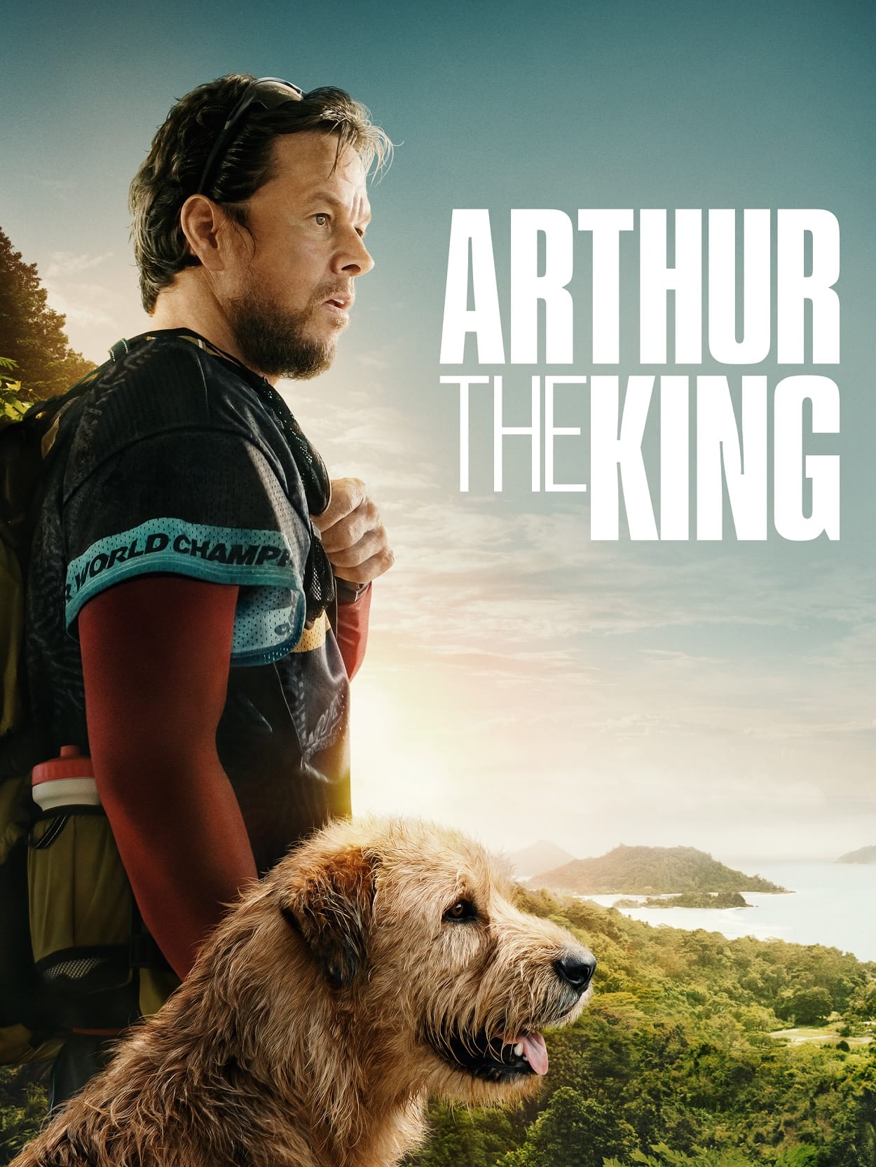 https://rentersadda.com/arthur-the-king/